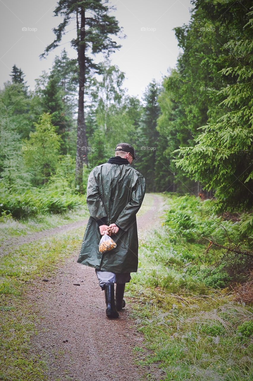 Man picking mushrooms