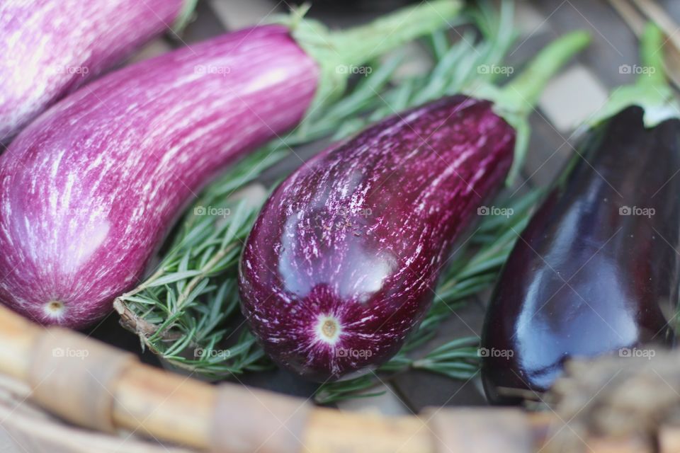 Elevated view of eggplants