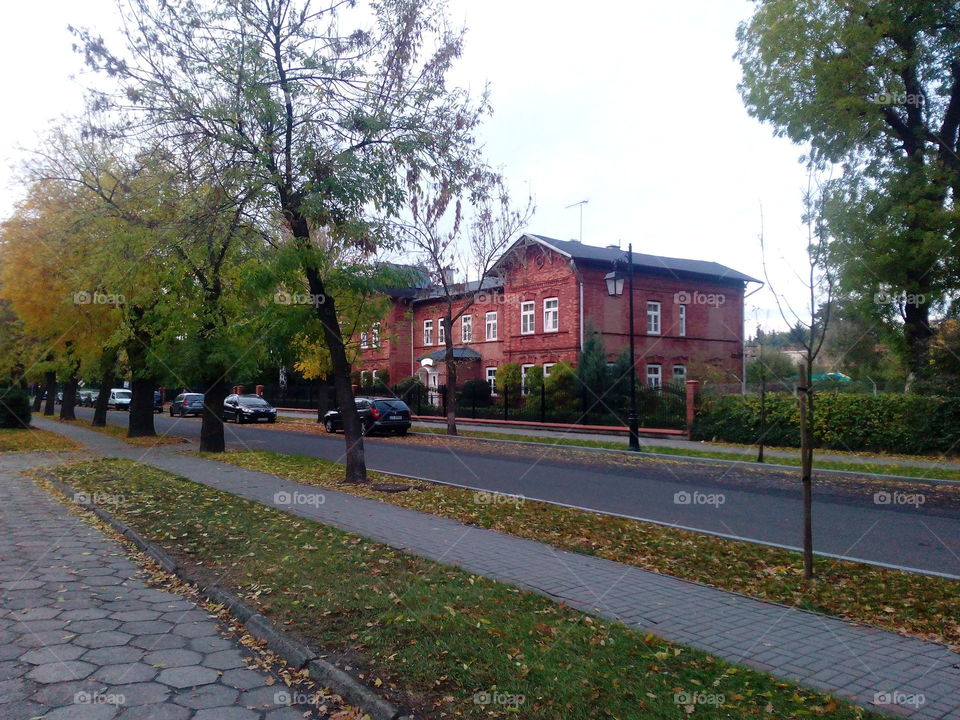 Road, Tree, Street, Building, Home