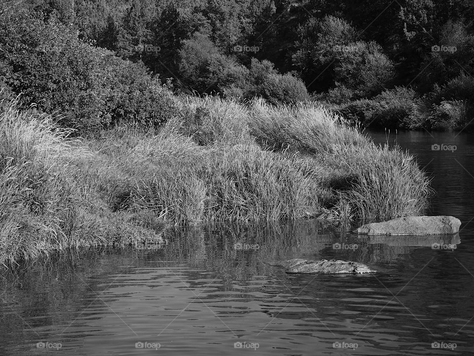 The serene Deschutes River in Central Oregon on a sunny summer day. 