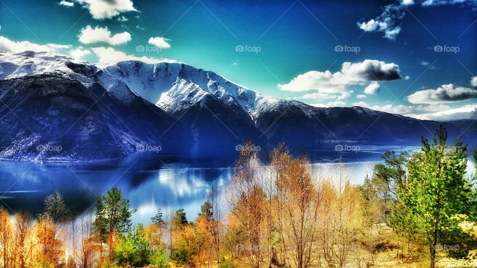 Scenic view of nature