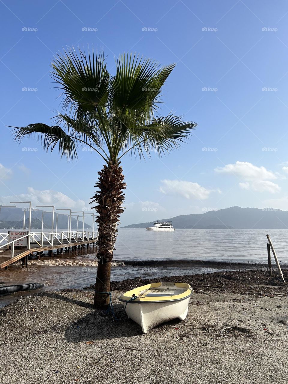 White boat and the palm on the beach