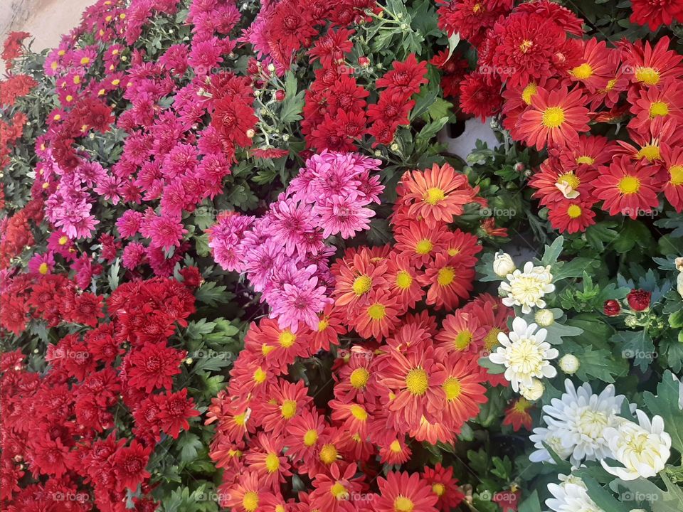 Please make me happy, I am poor, I need your help with support