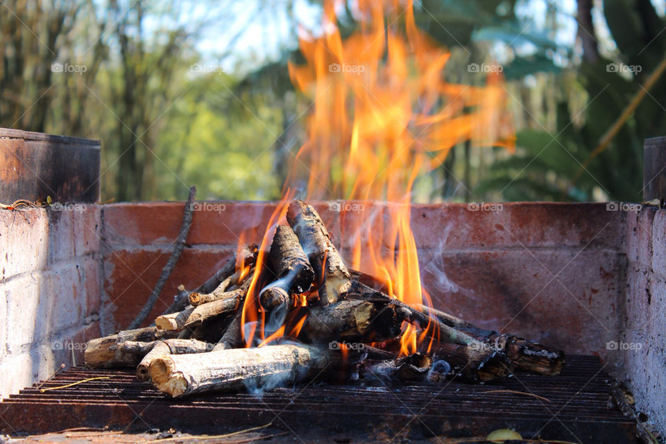 Wood fired oven