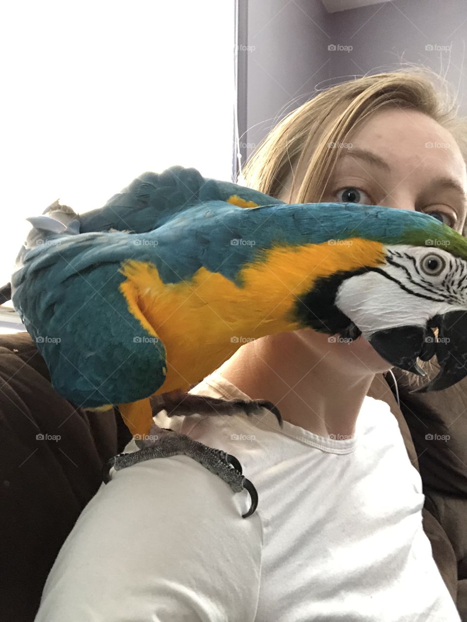 A young woman and her blue and gold Macaw parrot make the same wide-eyed face for the camera