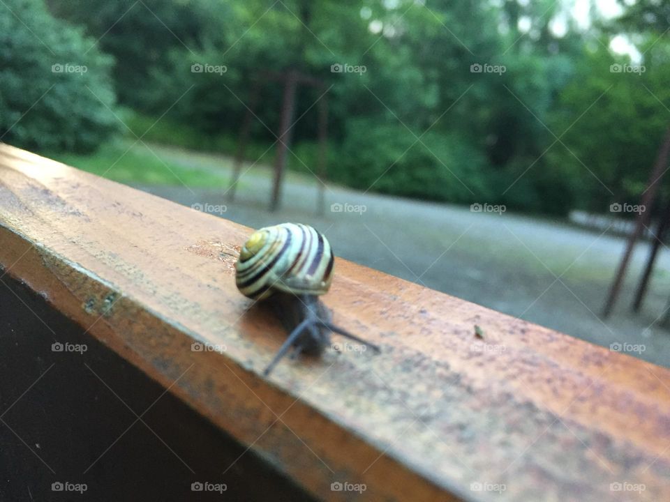 Schau mir in die Augen 