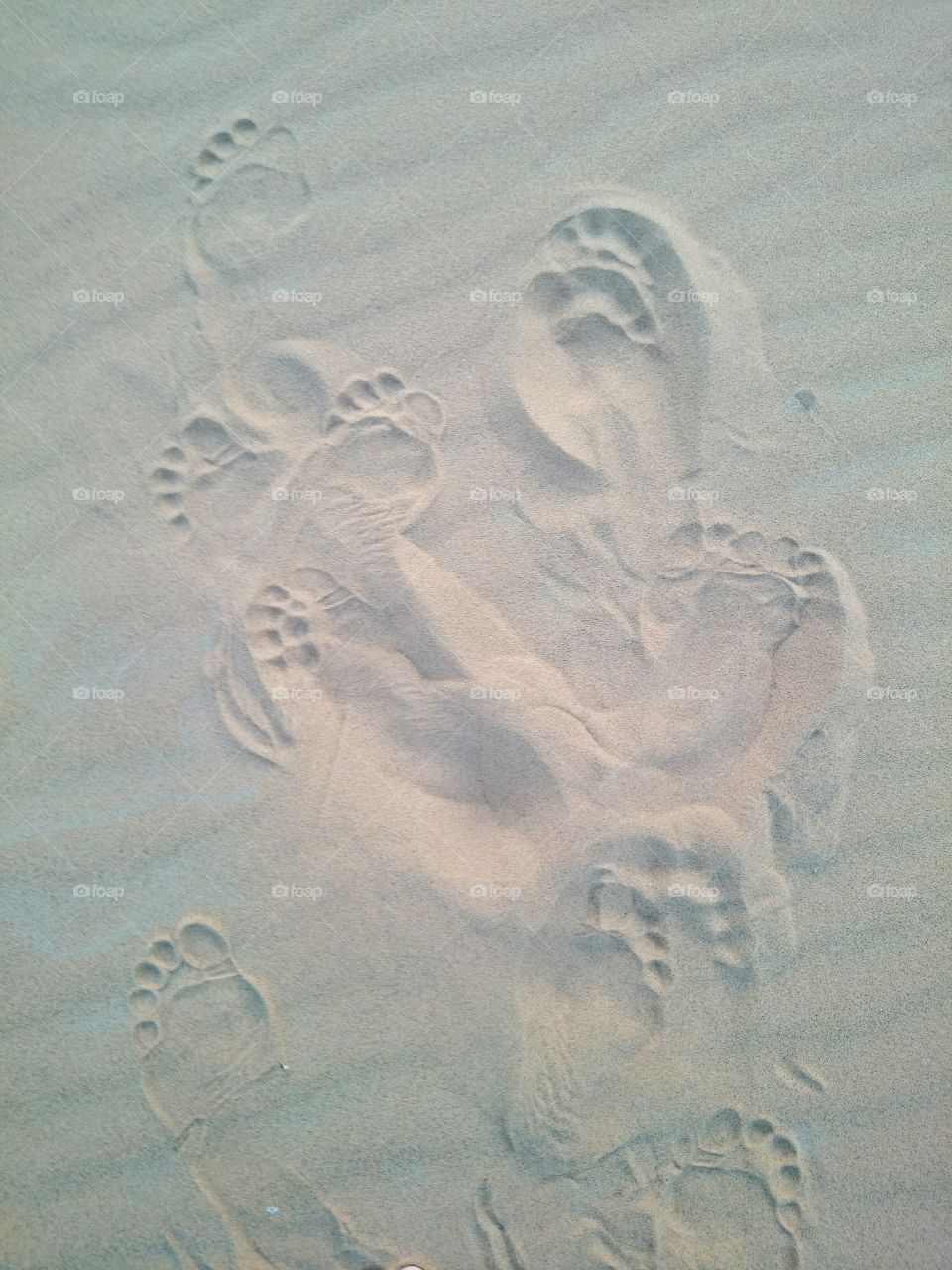 High angle view of footprint