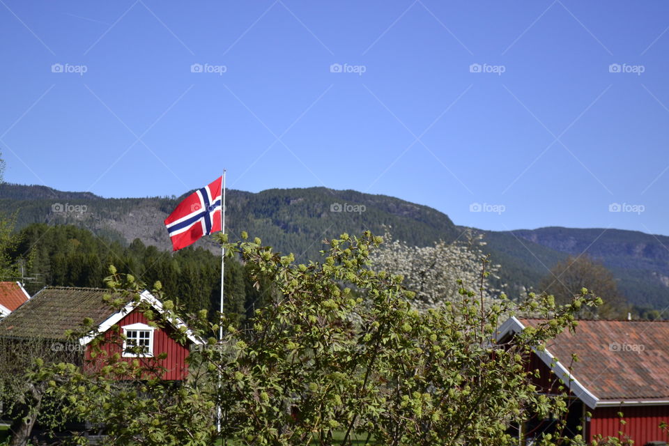 Norwegian Flag