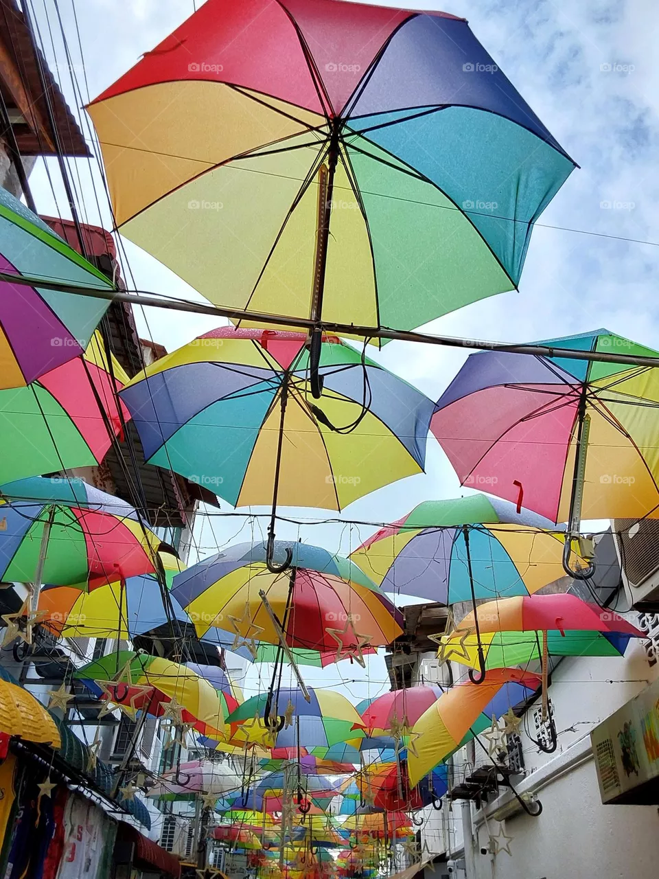 umbrella