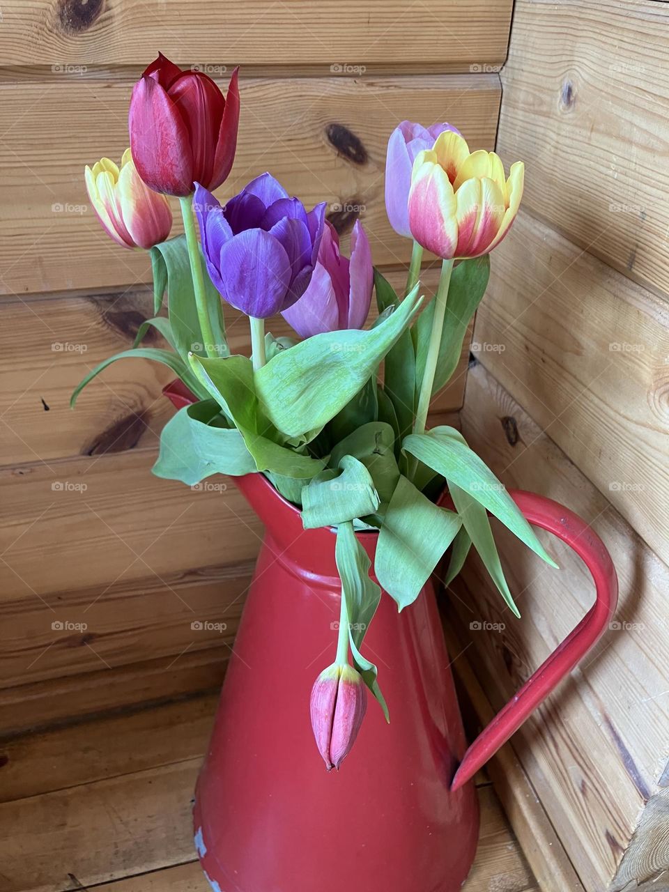 Flowers in a vase mission (tulips in a jug)