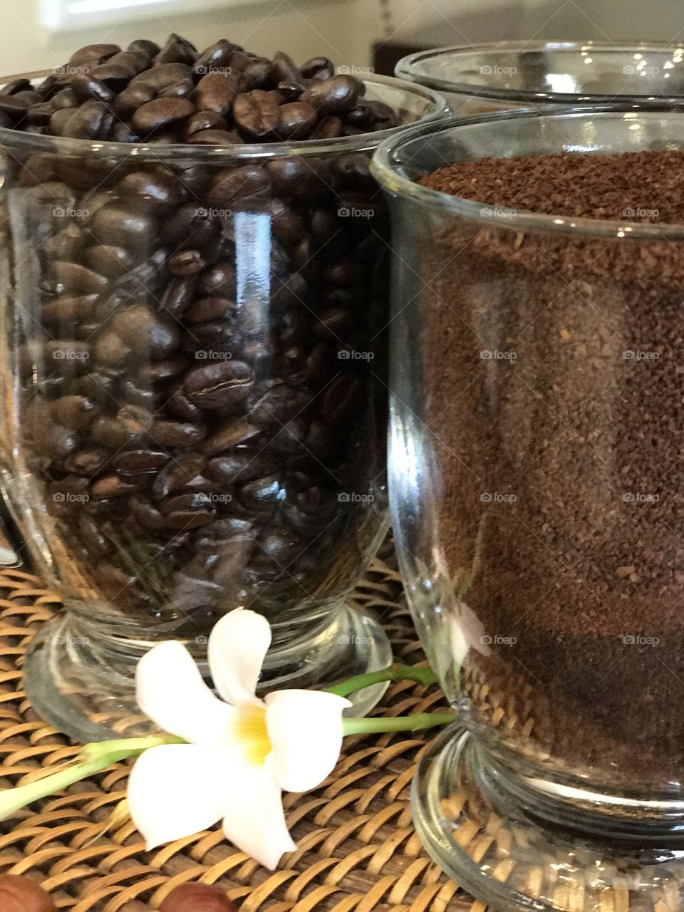 Metamorphosis of coffee beans 