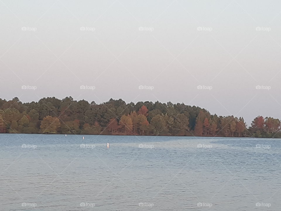 Trees turning colors as Fall moves in