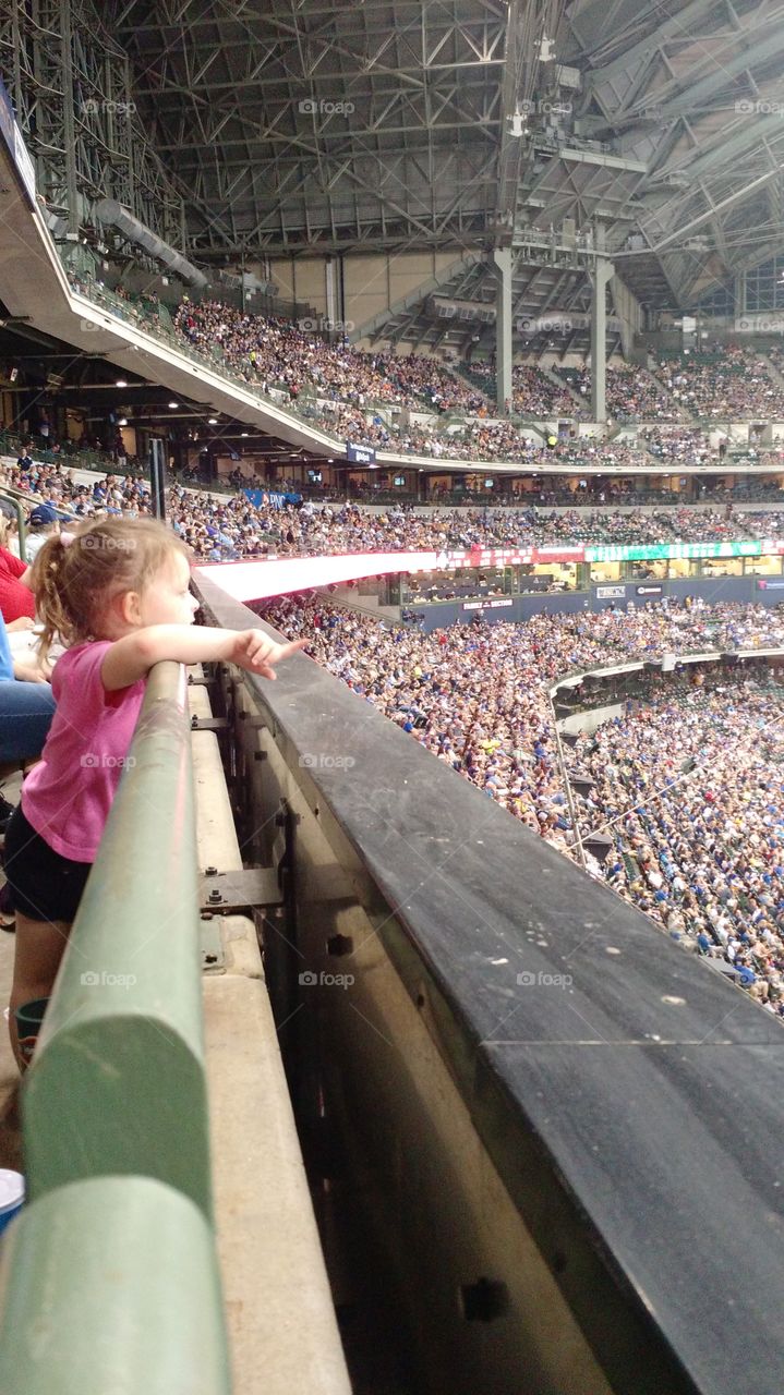 Number 1 fan. Milwaukee brewers vs. Chicago cubs