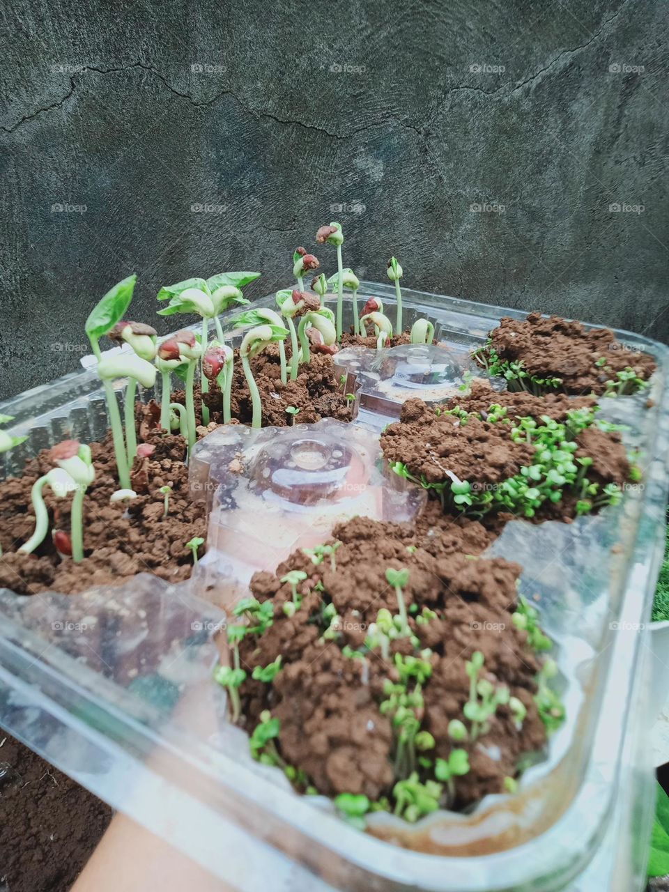 Earth Day is an annual event to demonstrate support for environmental protection and sustainable practices by this we learn to invest in our planet