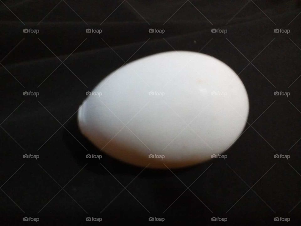 white egg difference shaped