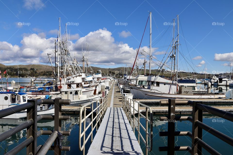 Bodega Bay Crab Fleet