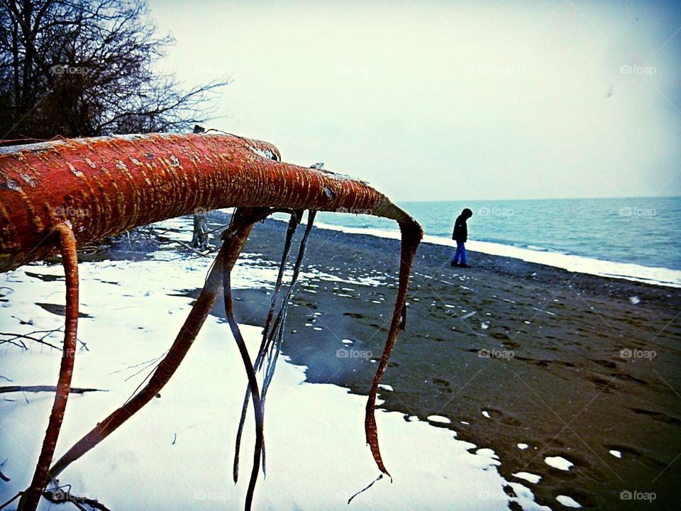 Beach at Point Pelee