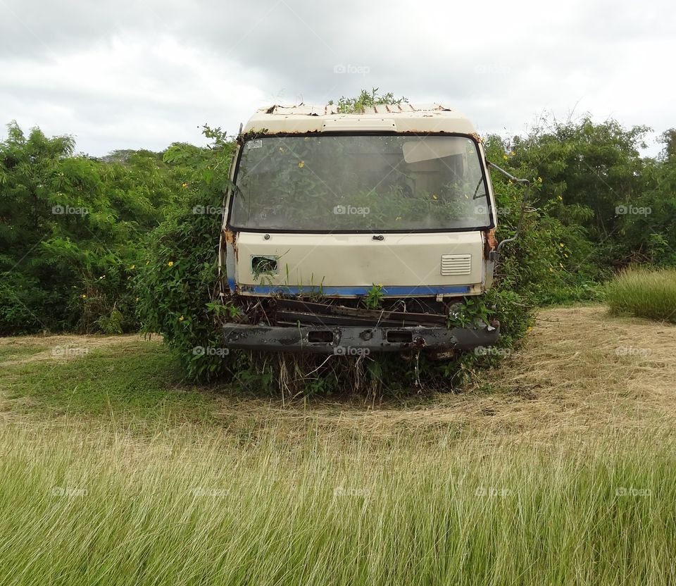 Long Term Parking. This overgrown lorry is parked for the long term