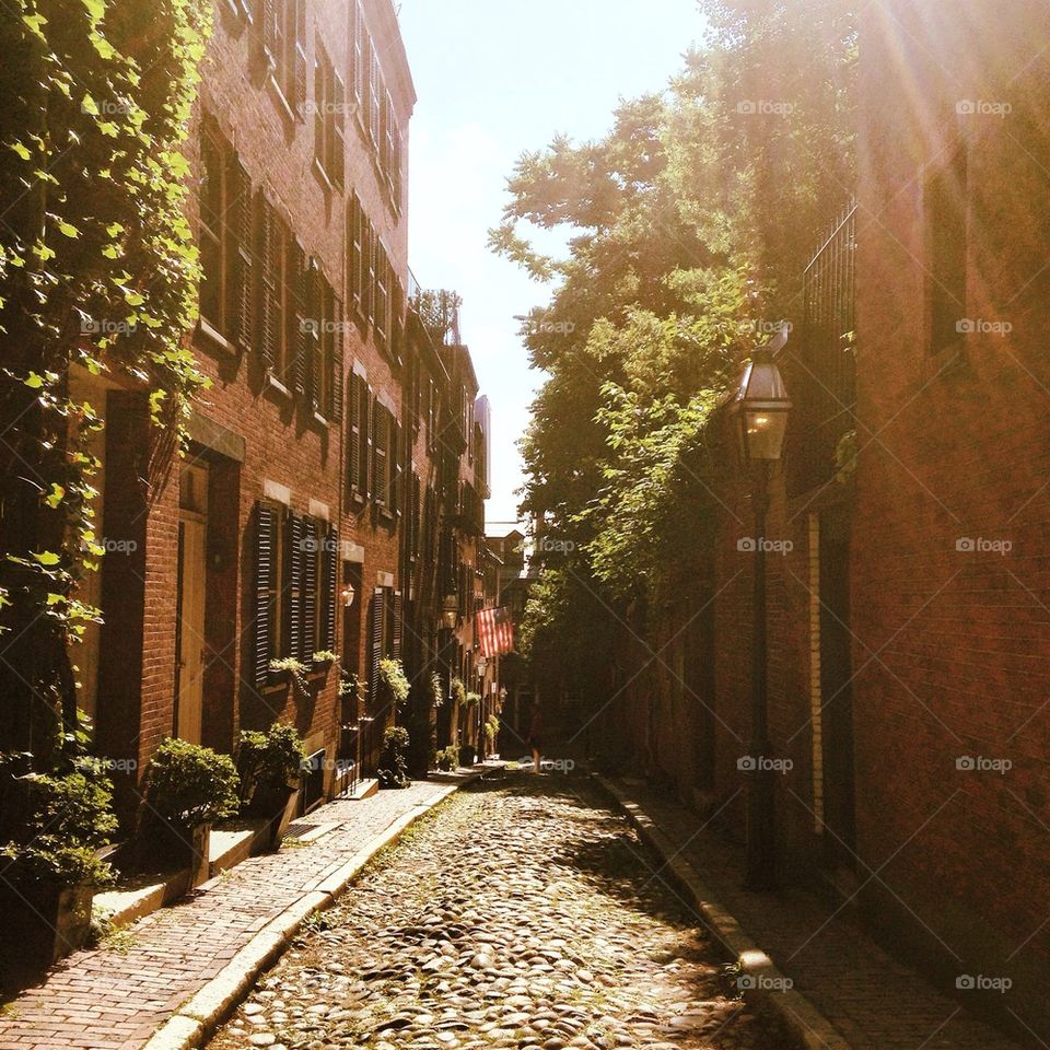 Acorn street