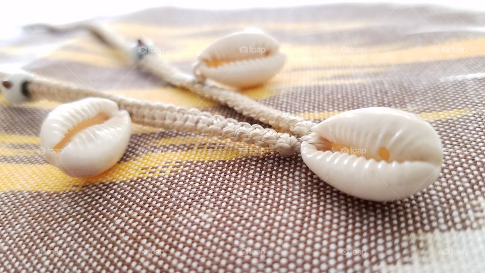 Seashells