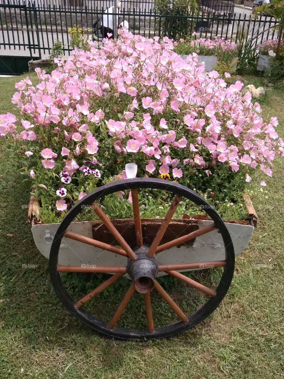 Wheel and Boat Garden