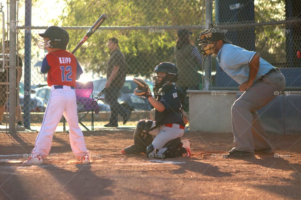 Summer Evening at the Ball Field