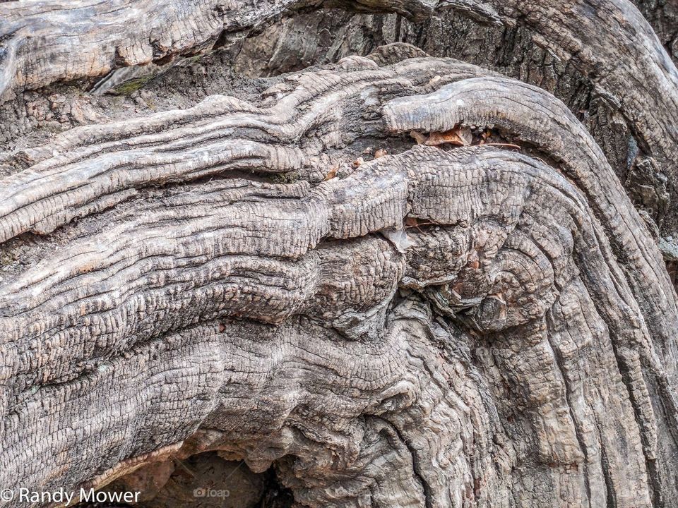 Colonial Williamsburg 