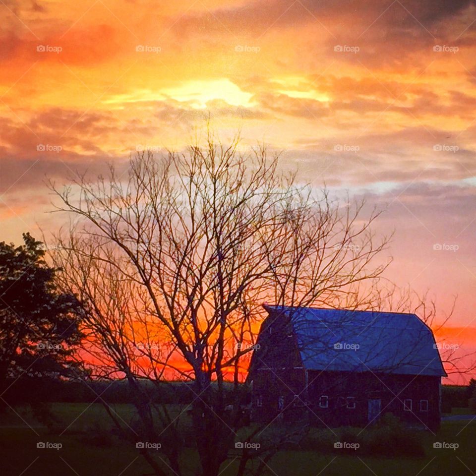 Sunset barn 