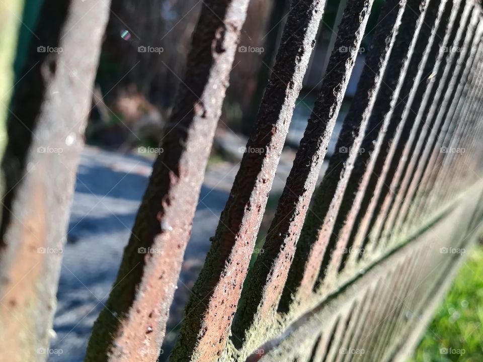 A walk in Kraśnik