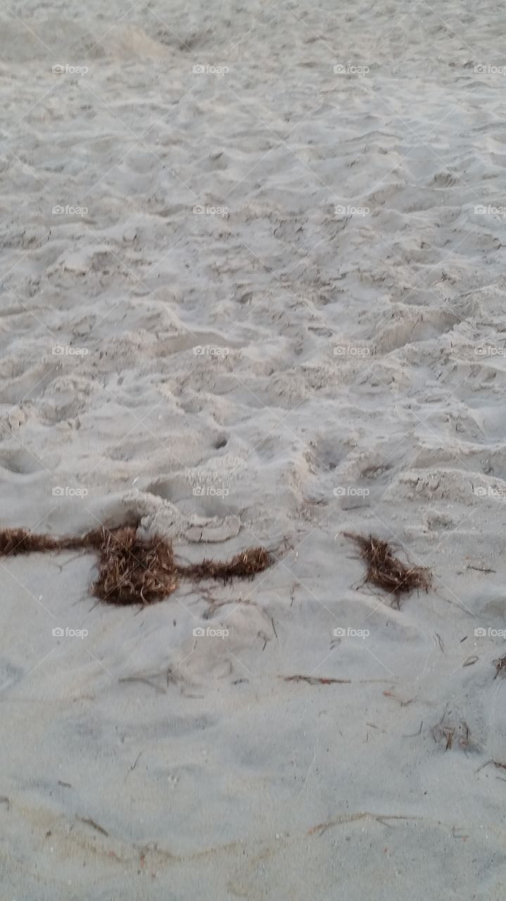 Sand