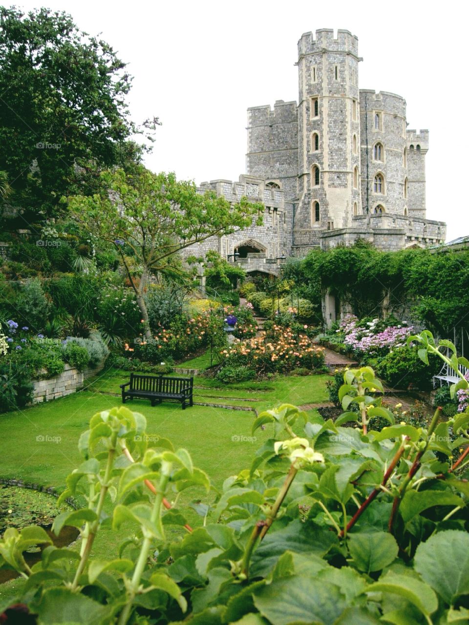 In the Garden of Eden. Castle grounds - Bath, England
