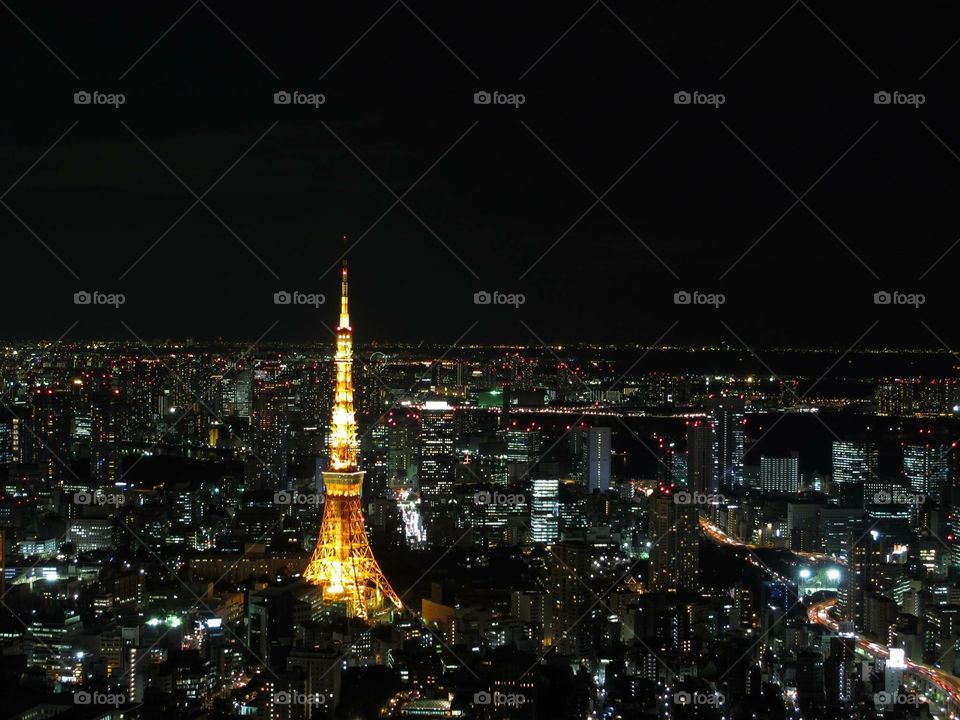 Tokyo by night, taken from roppongi hills