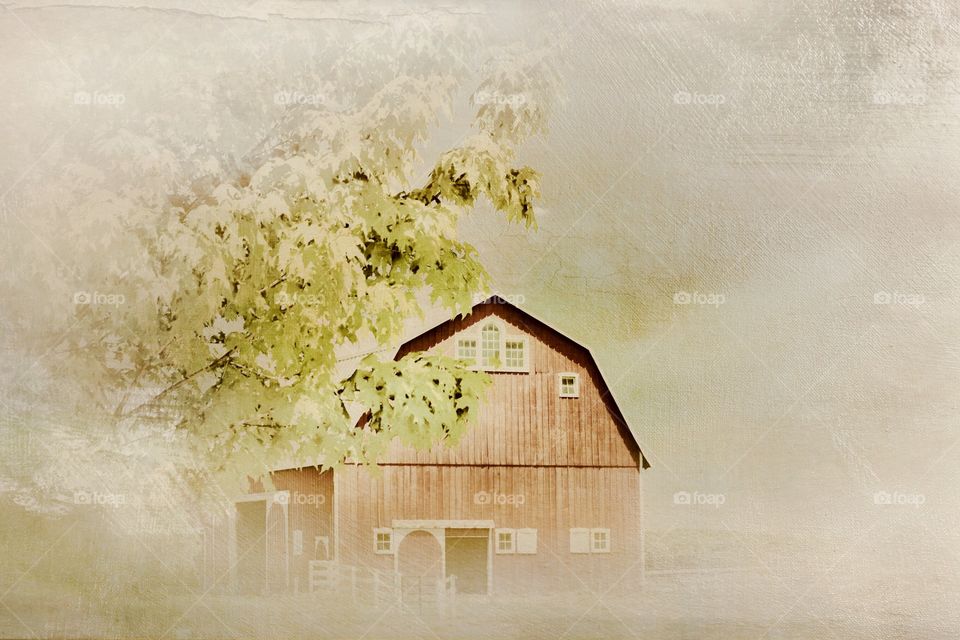 Old barn in the country 