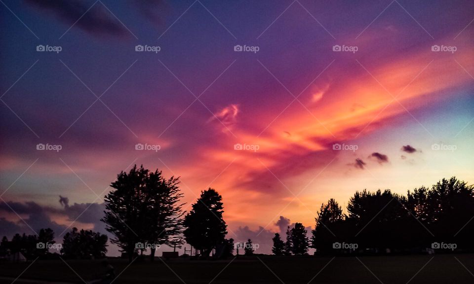 Bold and dark lit sunset view with dark silhouette trees and shadows. 