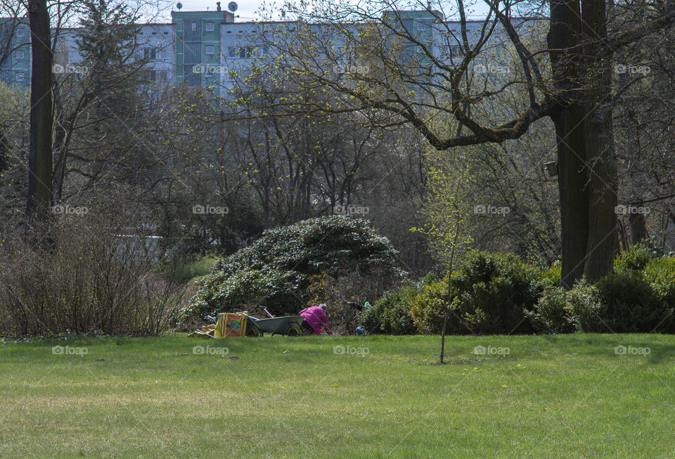 Spring garden works in the city botanical garden