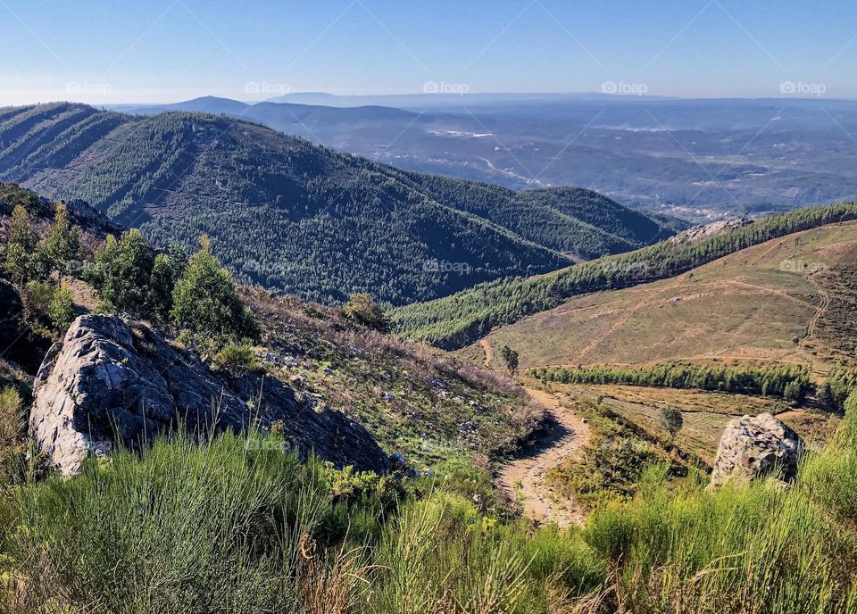 A hiking trail winds through trees covered hills in Central Portugal 