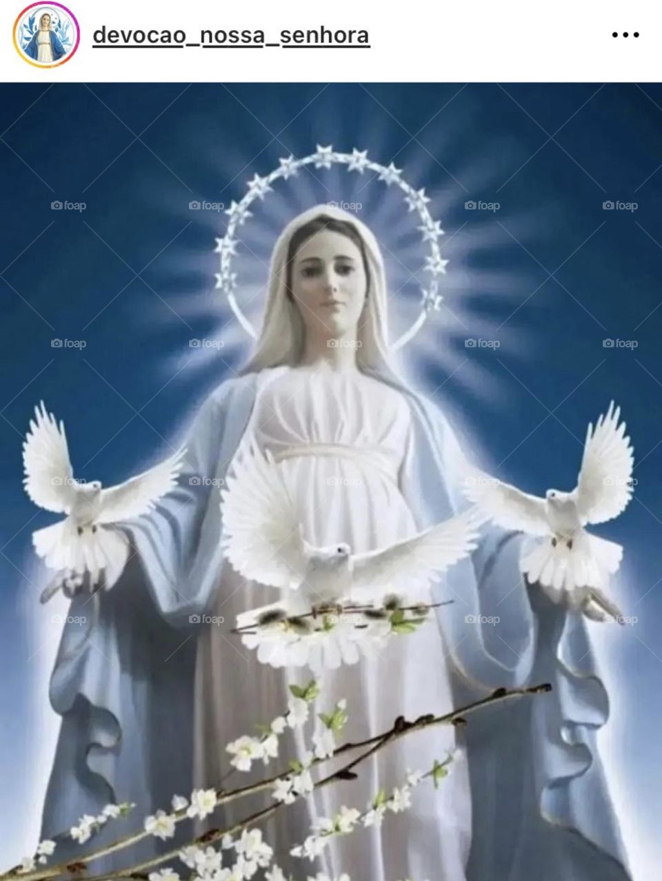 🙏 🇪🇸 Oh Maria, ruega por nosotros que recurrimos a ti.  Amén.  🇧🇷 Ó Maria, Nossa Senhora, rogai por nós que recorremos a vós. Amém. / 🇺🇸 O Mary, pray for us that we turn to you.  Amen. / 🇮🇹 O Madonna, prega per noi che ci rivolgiamo a te. Amen.