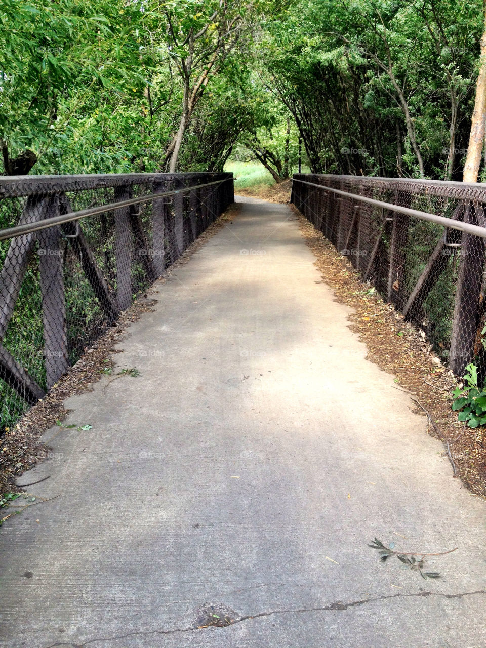 nature summer trees path by stykellee
