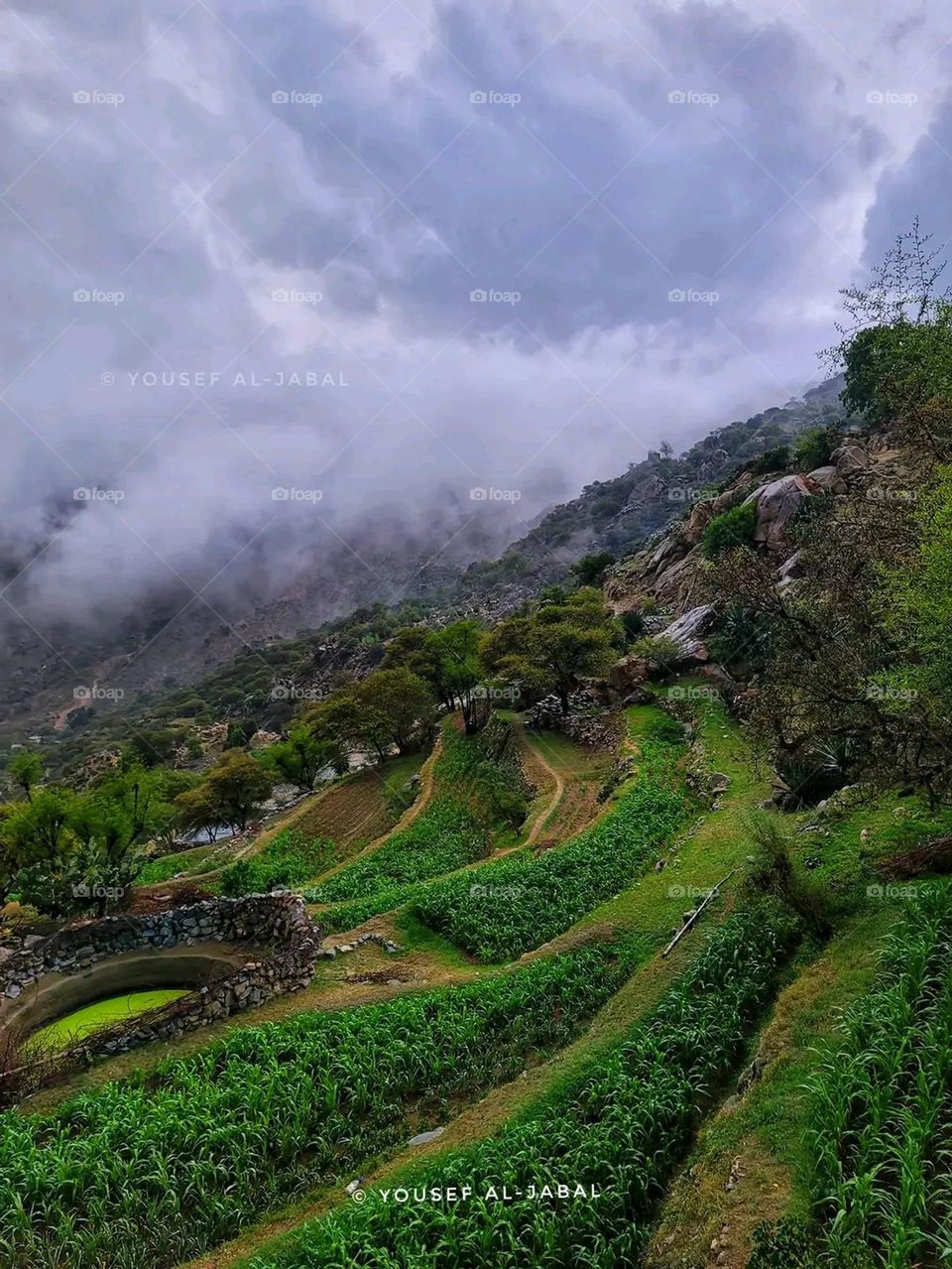 Glory be to God, the magnificent and picturesque view and the natural green trees are a view that is nothing more wonderful than it