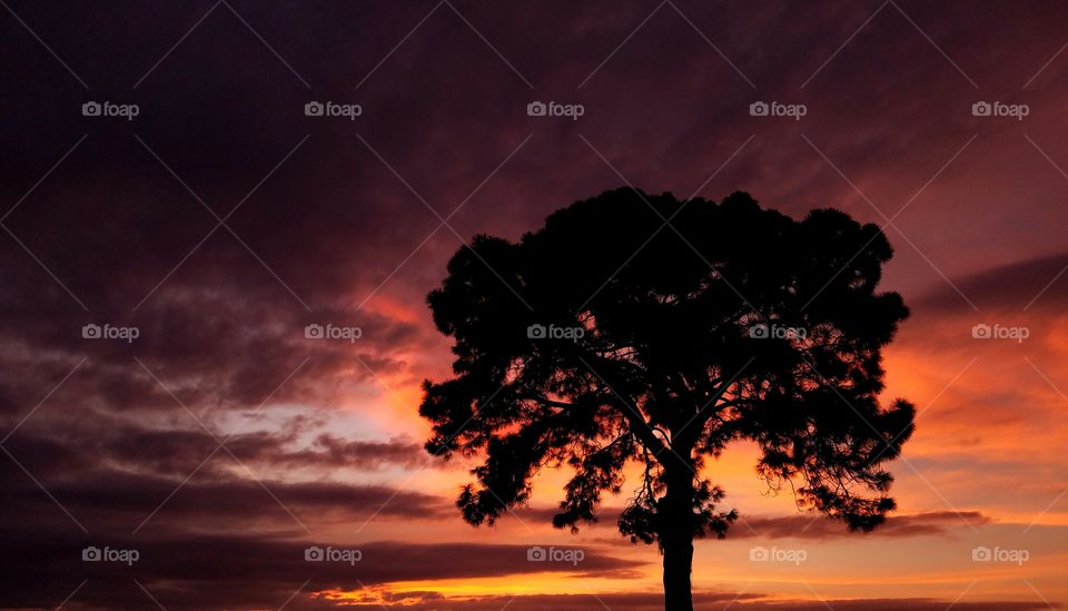 Sunset in Sarasota, Florida