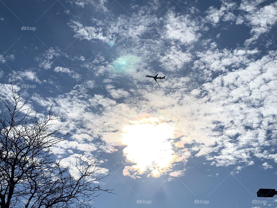 What a great sunny day for a trip across the great blue sky. The clouds are there to ease the way. 