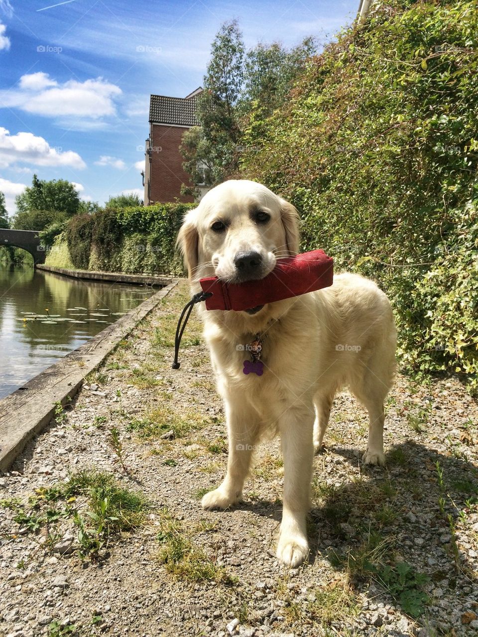 Sweet Zoe at the canal