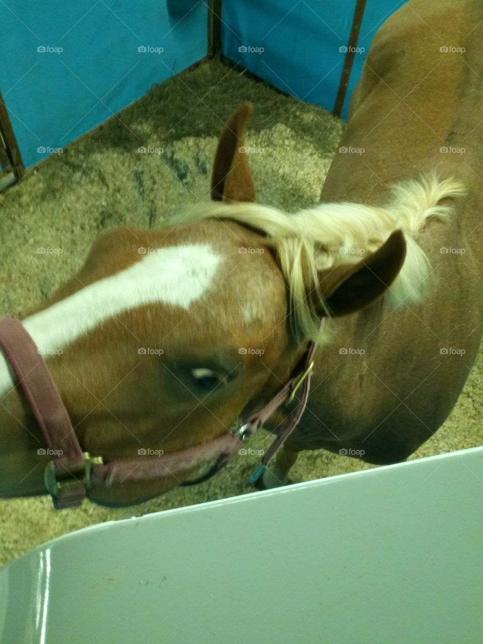 Whatcha doin up there?