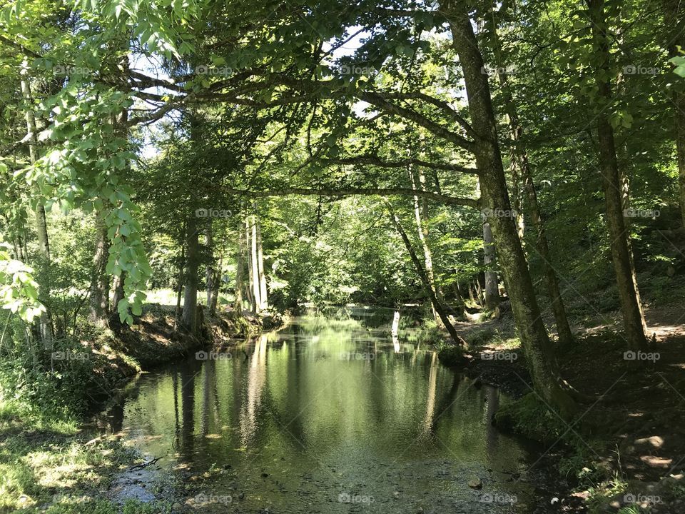 Steibachweiher 