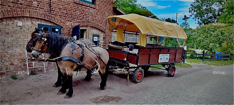 In another part of Germany, still in „Saxony“ by the „Elbe“ is „Mecklenburg Vorpommern“. The biggest city is „Rostock“ by the „Baltic“ or „Ostsee“ but rural idyllic scenarios can be found here as well. 2022. Hypnotic Productions