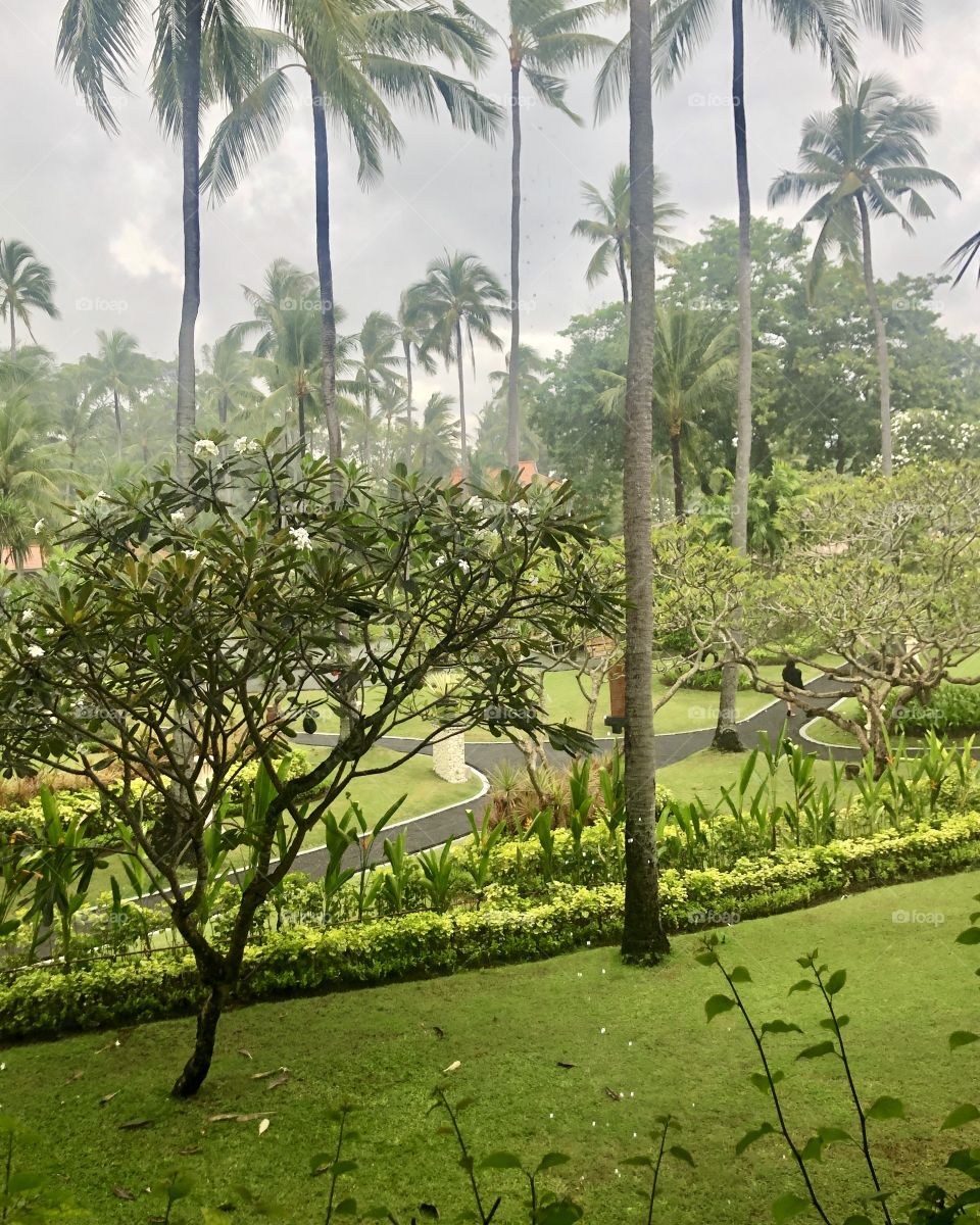 The view out the window in beautiful Nusa Dua, Bali, Indonesia