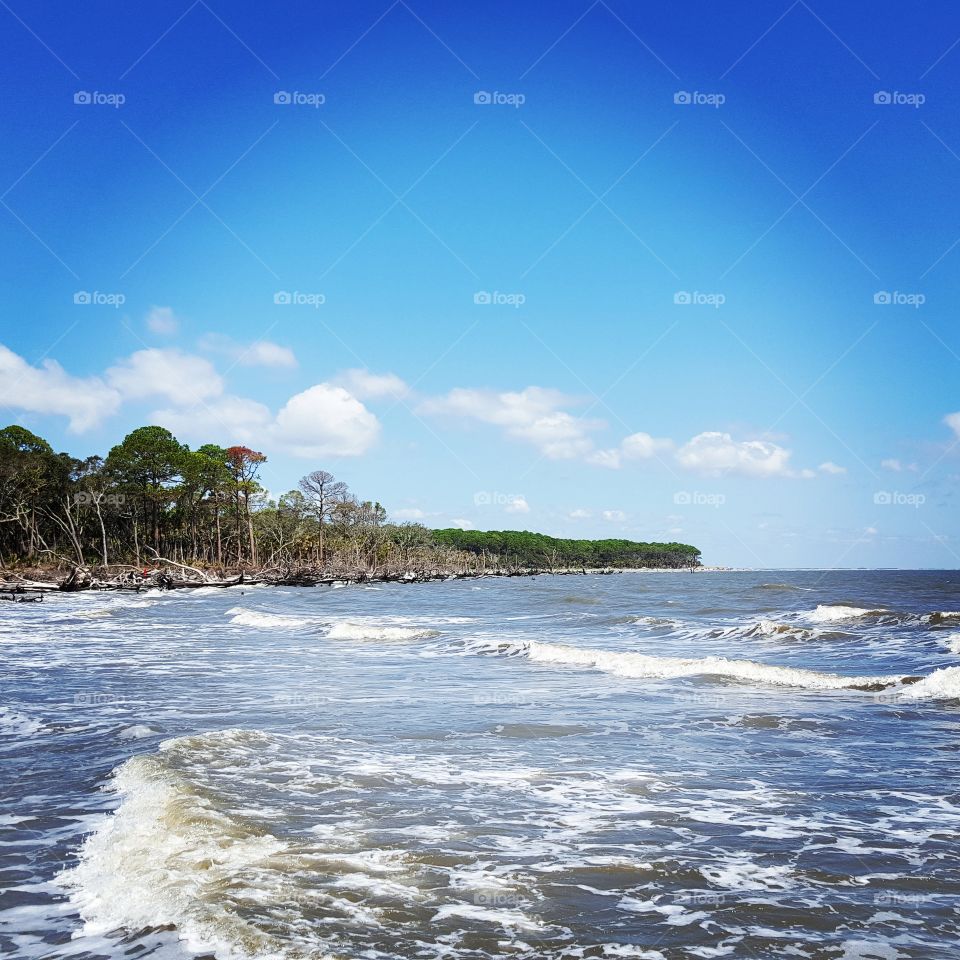 Hunting Island State Park, SC