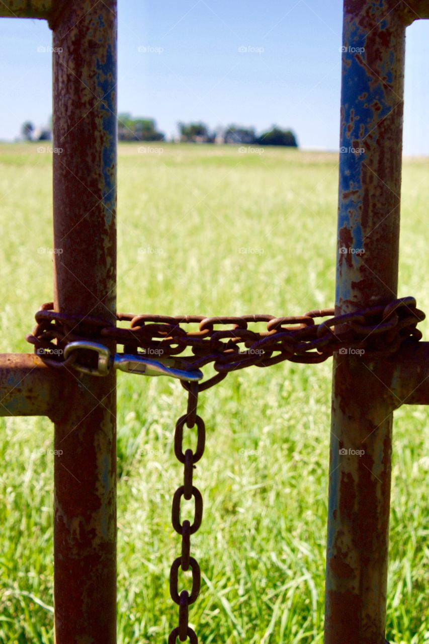 Chain-wrapped fence panels on the edge of a beautiful, sunny hayfield with blurred trees in the distance 