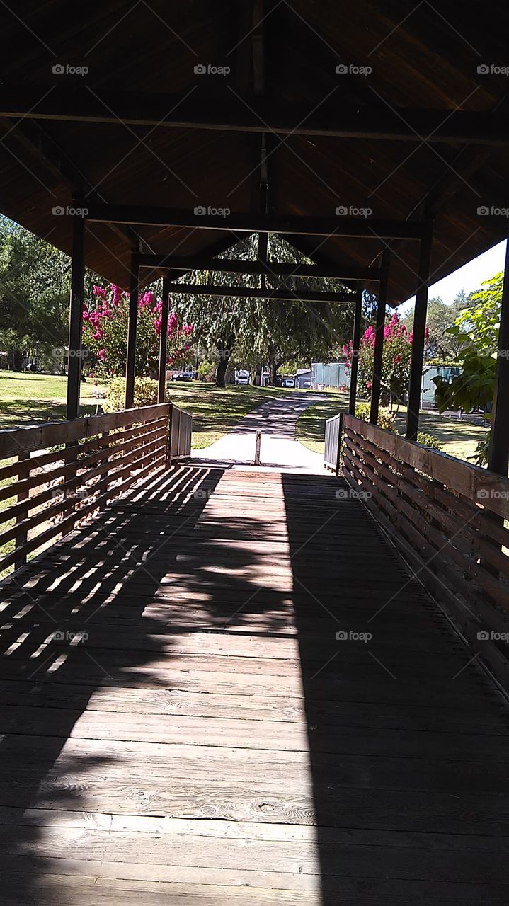 Shadow Bridge. Out at the park
