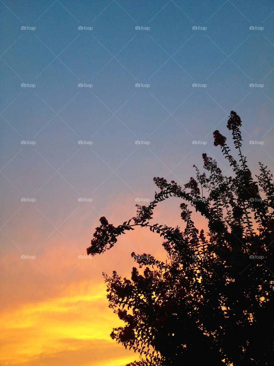 emotion outside silhouette rainbow by msanch